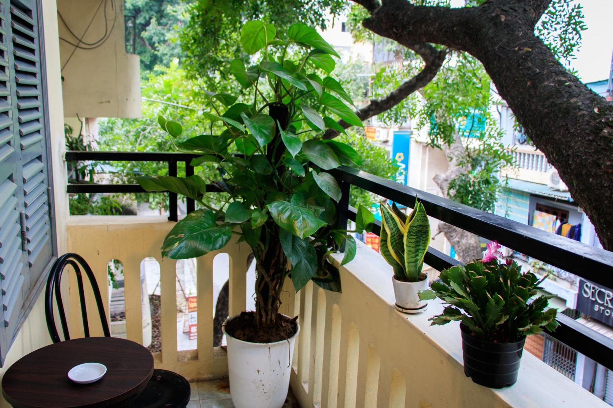 Hanoi Family Homestay Eksteriør billede