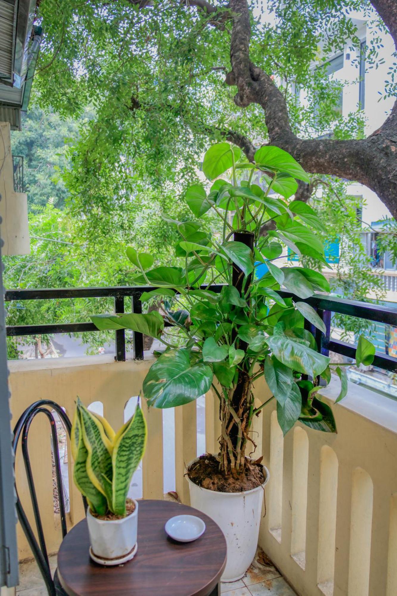 Hanoi Family Homestay Eksteriør billede